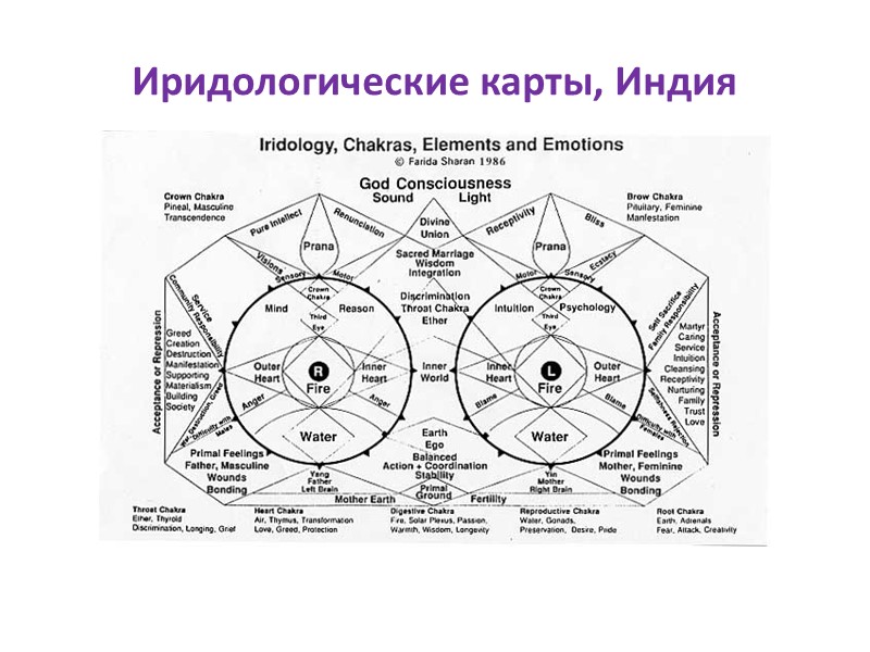 Иридологические карты, Индия